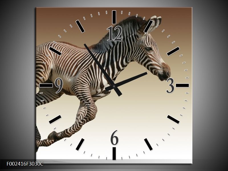Klok schilderij Zebra | Zwart, Wit, Bruin | 30x30cm 1Luik