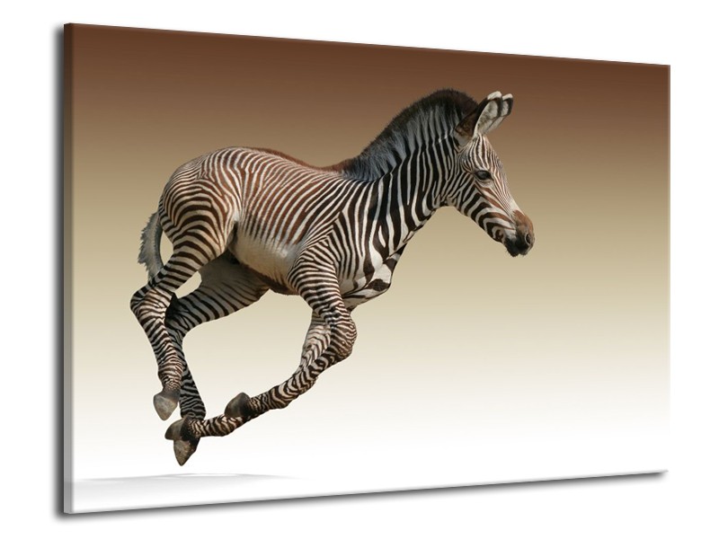Canvas schilderij Zebra | Zwart, Wit, Bruin | 70x50cm 1Luik