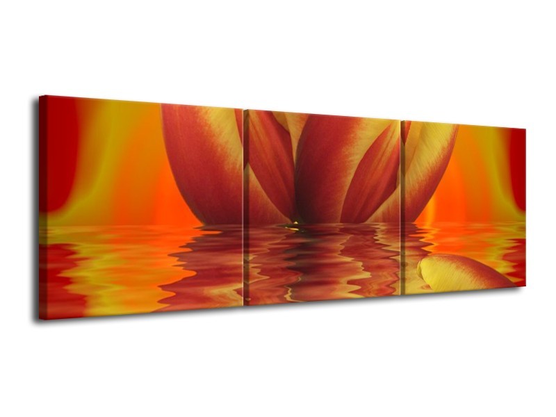 Canvas schilderij Tulp | Geel, Rood | 120x40cm 3Luik