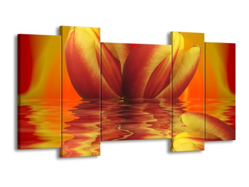 Canvas schilderij Tulp | Geel, Rood | 120x65 5Luik