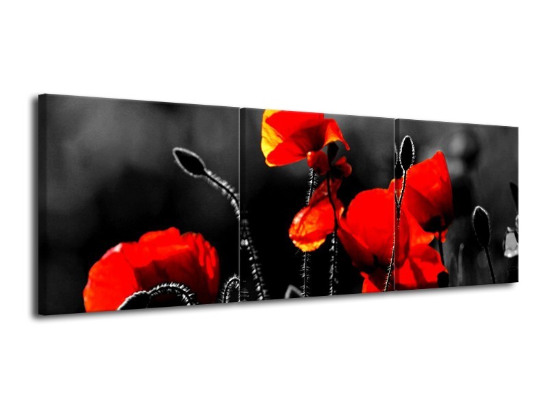 Canvas schilderij Klaproos | Zwart, Rood, Wit | 120x40cm 3Luik