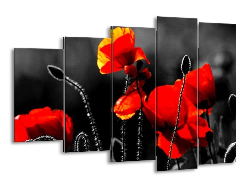 Canvas schilderij Klaproos | Zwart, Rood, Wit | 150x100cm 5Luik