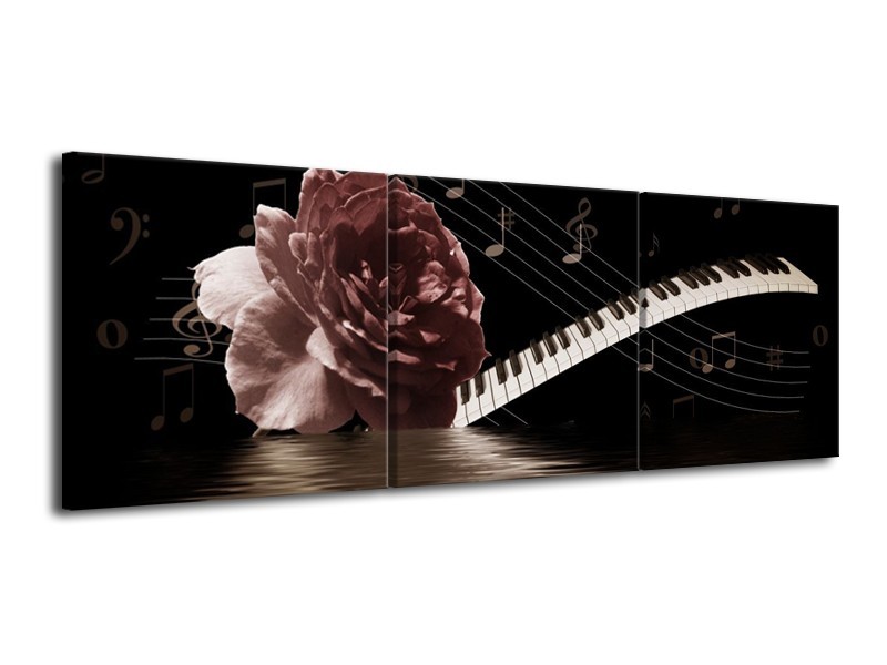 Canvas schilderij Roos | Bruin, Wit, Zwart | 120x40cm 3Luik