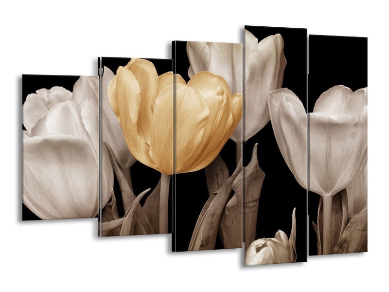 Canvas schilderij Tulpen | Geel, Wit, Zwart | 150x100cm 5Luik