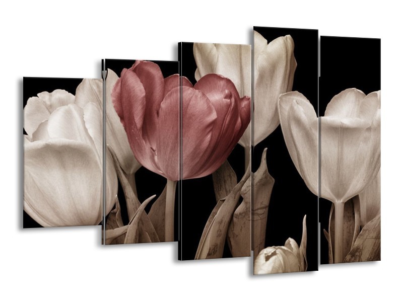 Canvas schilderij Tulpen | Bruin, Wit, Zwart | 150x100cm 5Luik