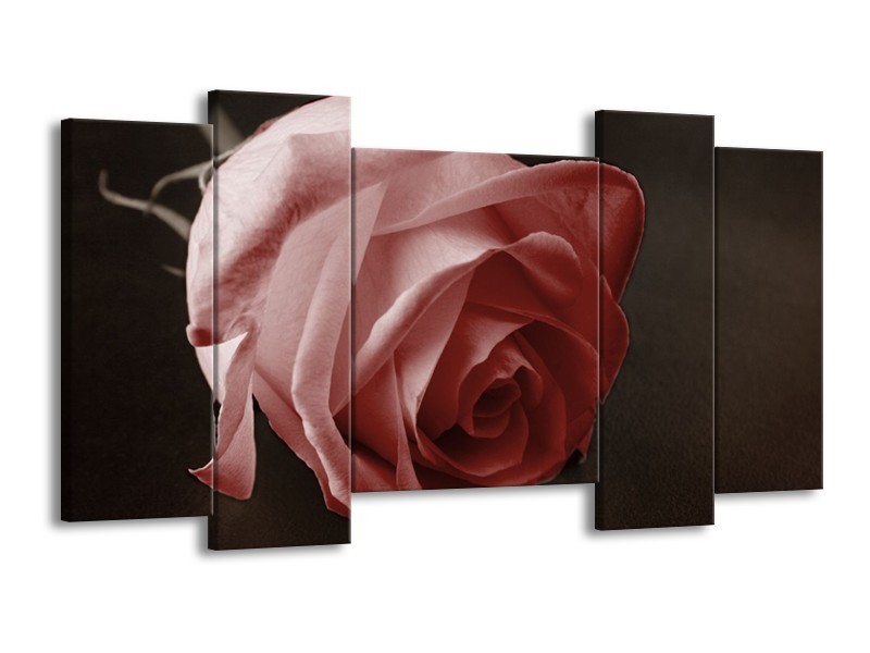 Canvas schilderij Roos | Bruin, Wit, Zwart | 120x65 5Luik