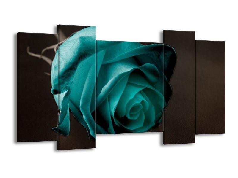 Canvas schilderij Roos | Blauw, Wit, Zwart | 120x65 5Luik