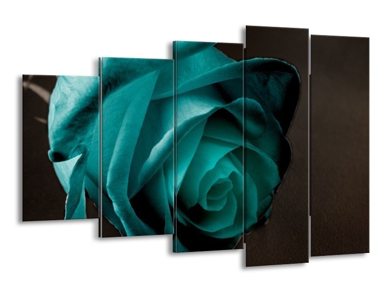 Canvas schilderij Roos | Blauw, Wit, Zwart | 150x100cm 5Luik