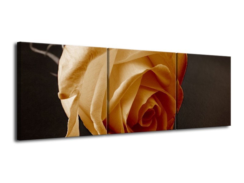 Canvas schilderij Roos | Geel, Wit, Zwart | 120x40cm 3Luik