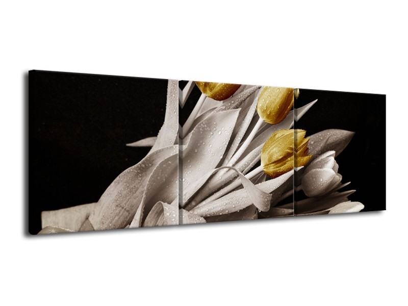 Glas schilderij Tulpen | Geel, Wit, Zwart | 120x40cm 3Luik