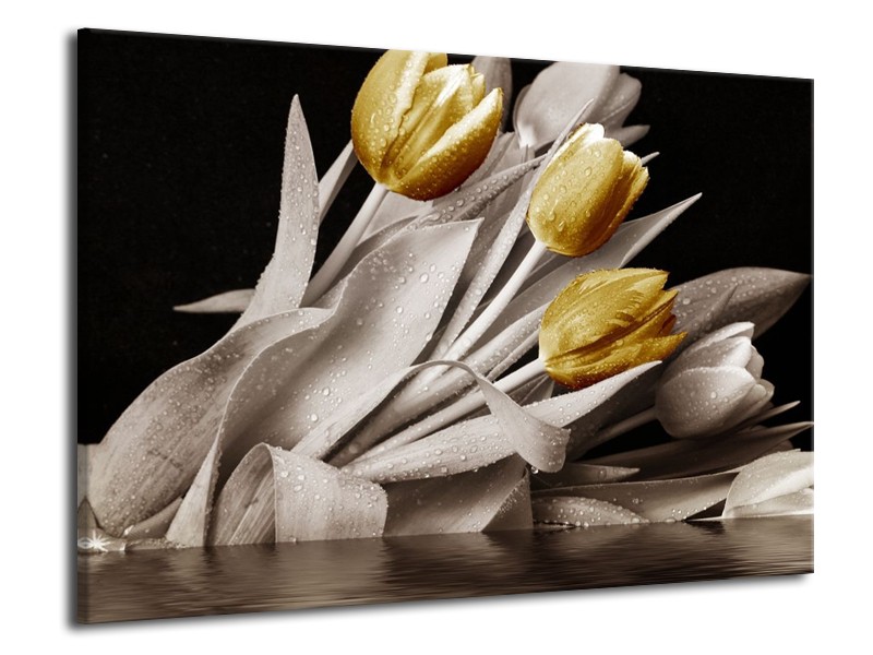 Canvas schilderij Tulpen | Geel, Wit, Zwart | 70x50cm 1Luik
