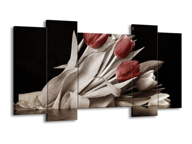 Canvas schilderij Tulpen | Bruin, Wit, Zwart | 120x65 5Luik