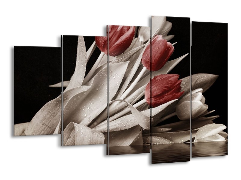 Canvas schilderij Tulpen | Bruin, Wit, Zwart | 150x100cm 5Luik