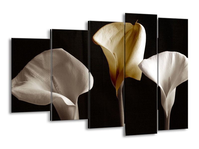 Canvas schilderij Bloem | Geel, Wit, Zwart | 150x100cm 5Luik