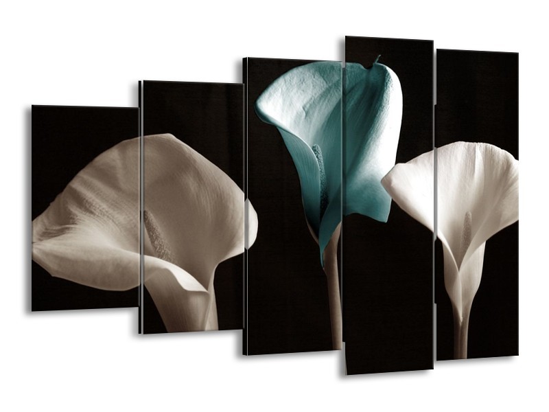 Canvas schilderij Bloem | Blauw, Wit, Zwart | 150x100cm 5Luik