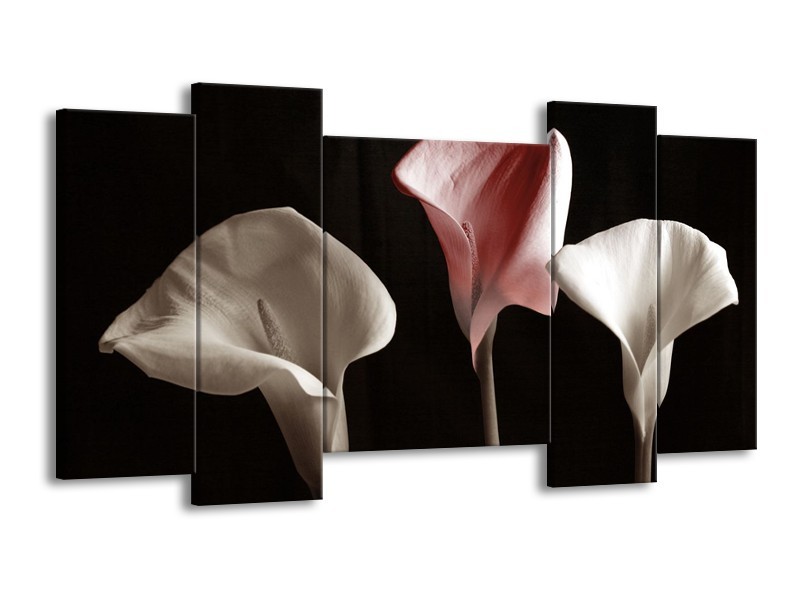 Canvas schilderij Bloem | Bruin, Wit, Zwart | 120x65 5Luik