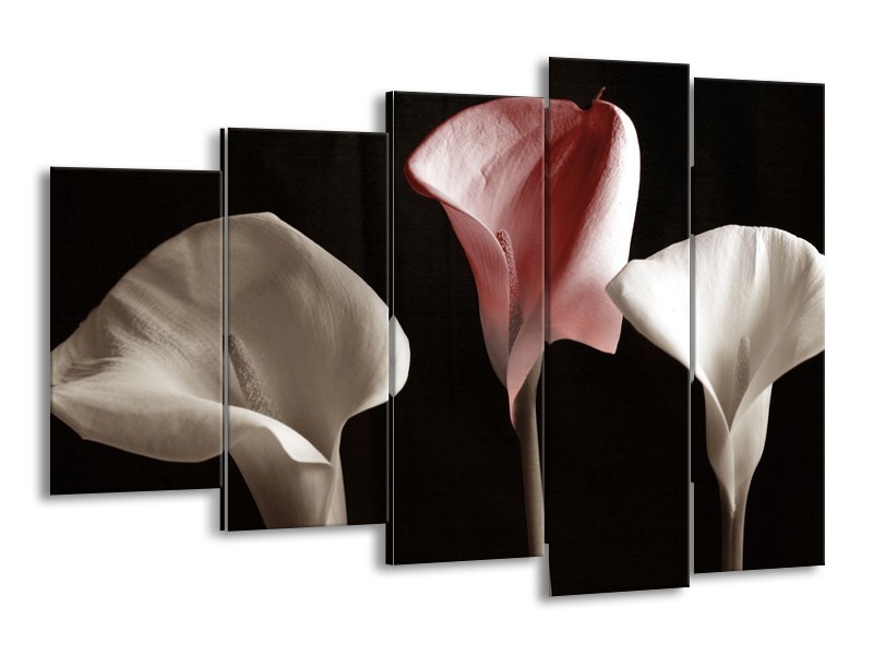 Canvas schilderij Bloem | Bruin, Wit, Zwart | 150x100cm 5Luik