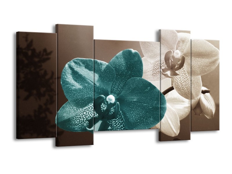 Canvas schilderij Orchidee | Blauw, Wit, Grijs | 120x65 5Luik