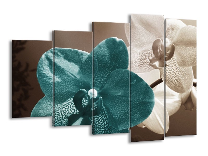 Canvas schilderij Orchidee | Blauw, Wit, Grijs | 150x100cm 5Luik