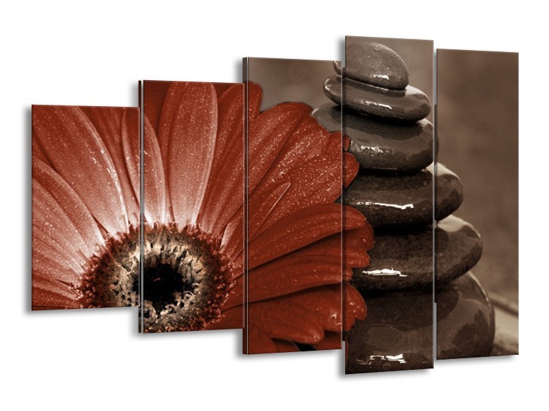 Canvas schilderij Bloem | Bruin, Wit, Grijs | 150x100cm 5Luik