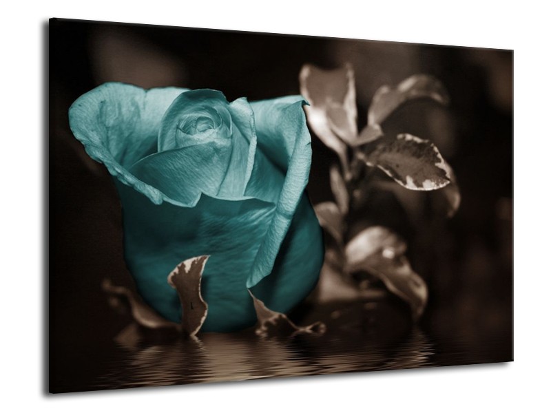 Glas schilderij Roos | Blauw, Wit, Grijs | 70x50cm 1Luik