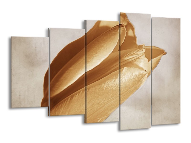 Canvas schilderij Tulp | Geel, Grijs, Wit | 150x100cm 5Luik