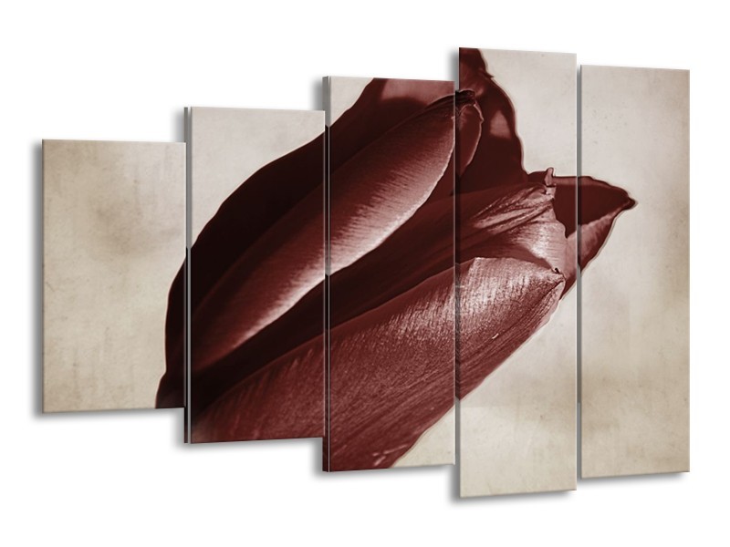 Canvas schilderij Tulp | Bruin, Grijs, Wit | 150x100cm 5Luik