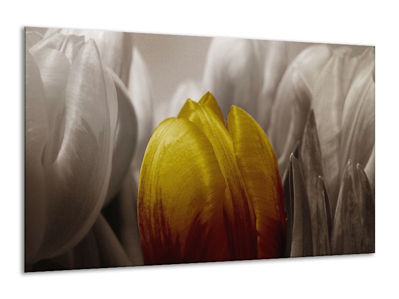 Canvas schilderij Tulp | Geel, Grijs, Wit | 120x70cm 1Luik