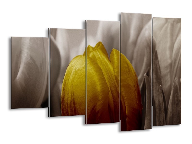 Canvas schilderij Tulp | Geel, Grijs, Wit | 150x100cm 5Luik