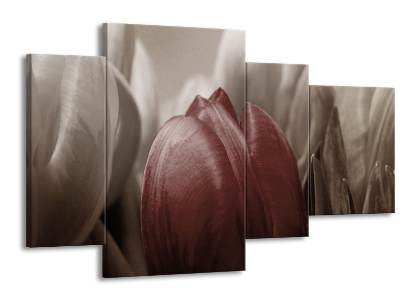 Canvas schilderij Tulp | Bruin, Grijs, Wit | 120x75cm 4Luik
