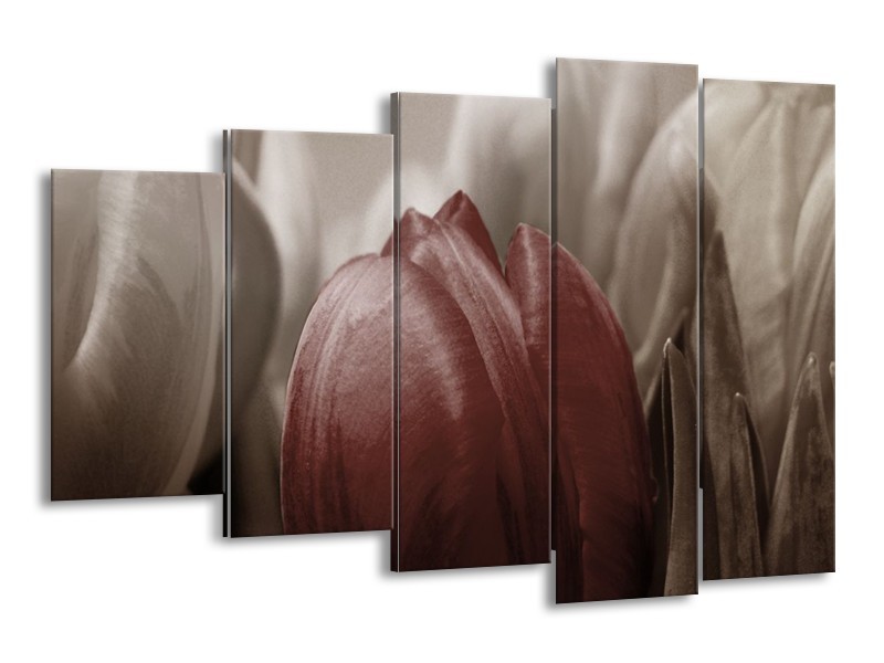 Canvas schilderij Tulp | Bruin, Grijs, Wit | 150x100cm 5Luik
