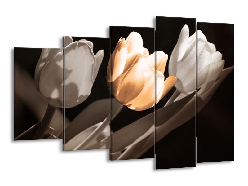 Canvas schilderij Tulp | Geel, Grijs, Wit | 150x100cm 5Luik