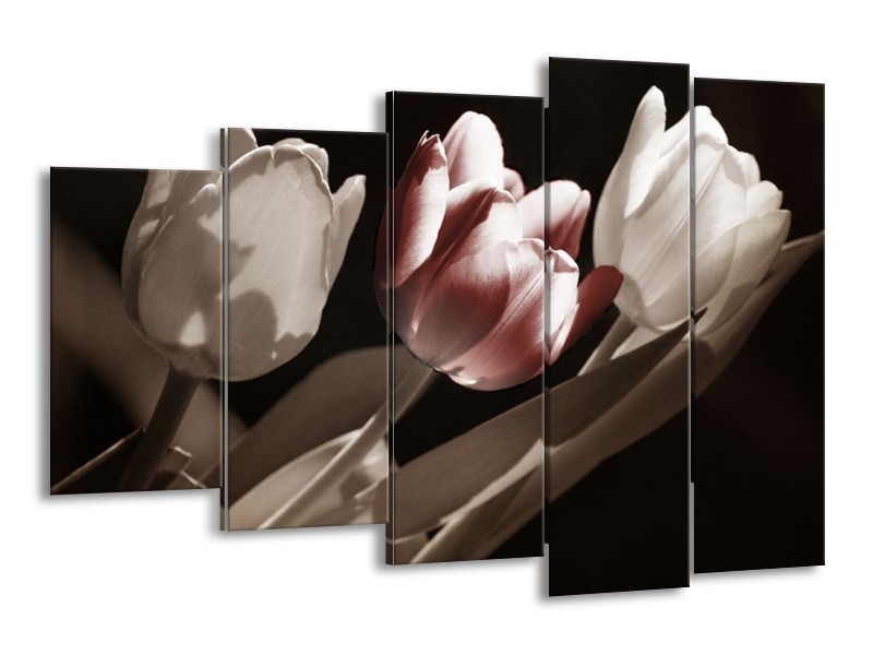 Canvas schilderij Tulp | Bruin, Grijs, Wit | 150x100cm 5Luik