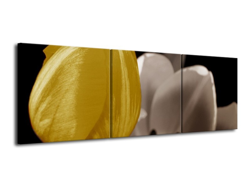 Canvas schilderij Tulp | Geel, Grijs, Wit | 120x40cm 3Luik
