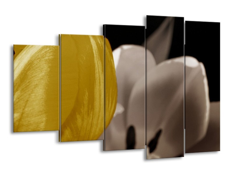 Canvas schilderij Tulp | Geel, Grijs, Wit | 150x100cm 5Luik