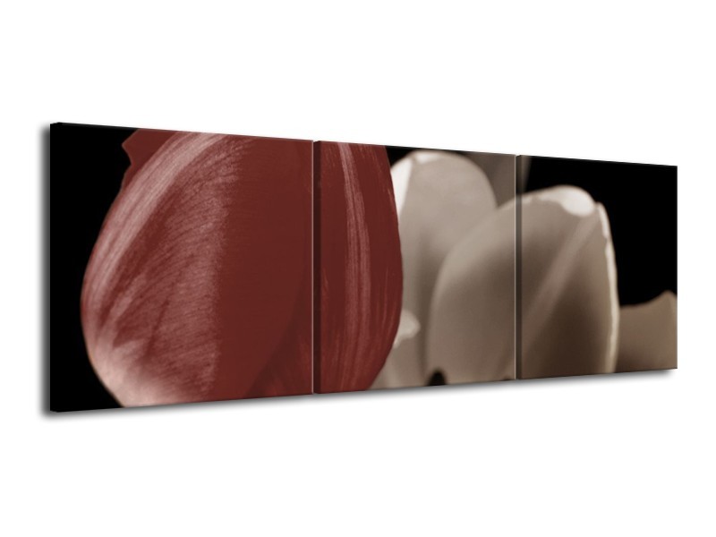 Canvas schilderij Tulp | Bruin, Grijs, Wit | 120x40cm 3Luik