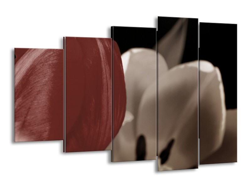 Canvas schilderij Tulp | Bruin, Grijs, Wit | 150x100cm 5Luik