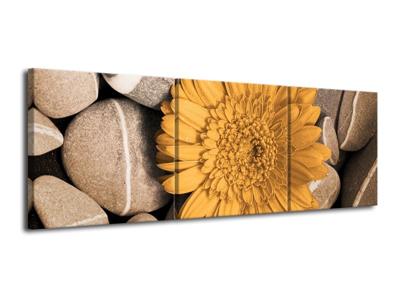 Canvas schilderij Bloem | Geel, Grijs, Wit | 120x40cm 3Luik