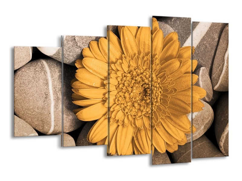 Canvas schilderij Bloem | Geel, Grijs, Wit | 150x100cm 5Luik