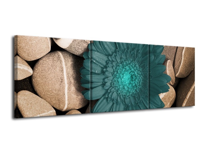 Glas schilderij Bloem | Blauw, Grijs, Wit | 120x40cm 3Luik