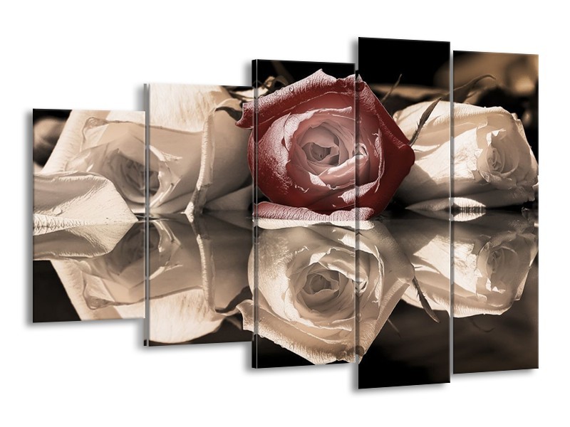 Canvas schilderij Roos | Bruin, Grijs, Wit | 150x100cm 5Luik