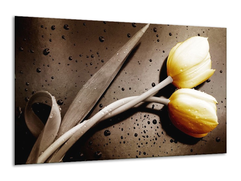 Canvas schilderij Tulp | Geel, Grijs, Wit | 120x70cm 1Luik