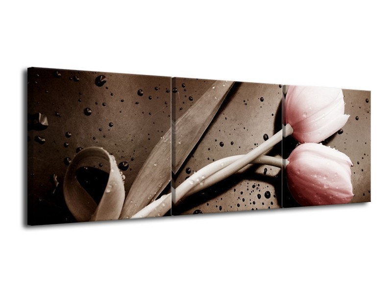 Canvas schilderij Tulp | Bruin, Grijs, Wit | 120x40cm 3Luik