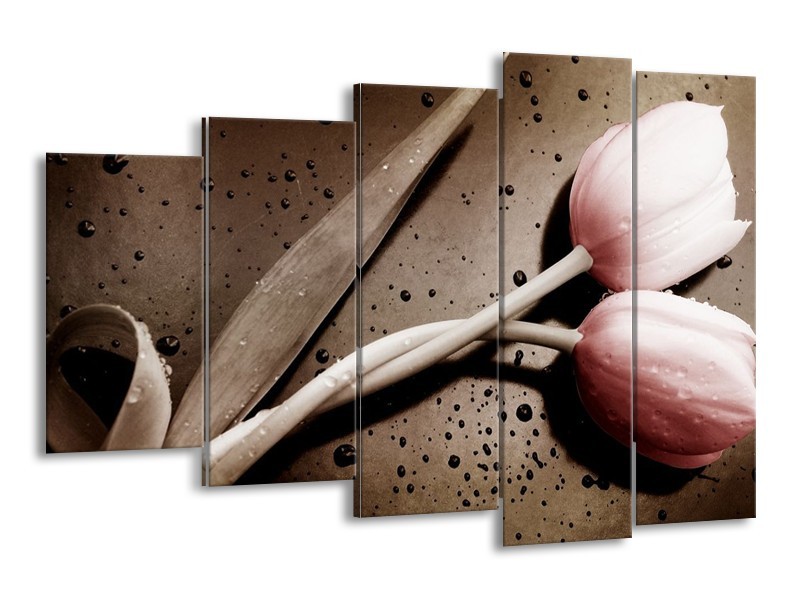 Canvas schilderij Tulp | Bruin, Grijs, Wit | 150x100cm 5Luik