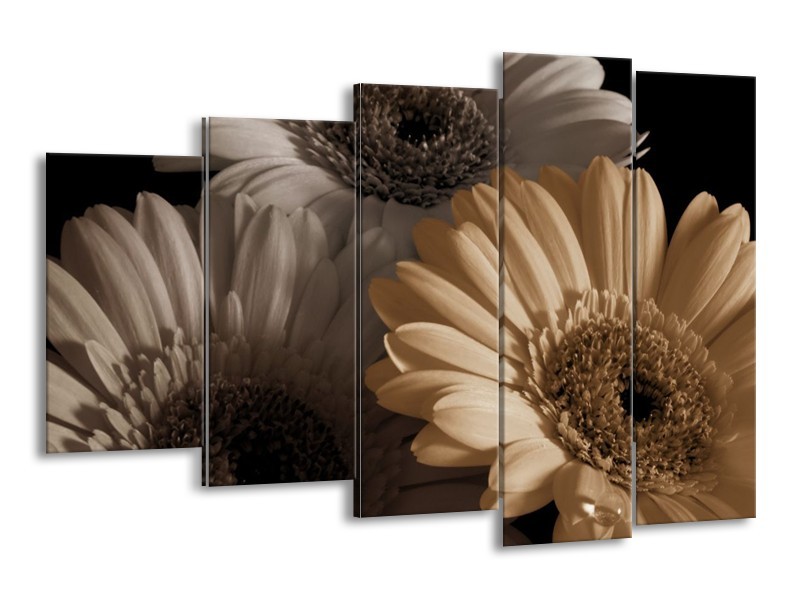 Canvas schilderij Bloem | Grijs, Geel | 150x100cm 5Luik