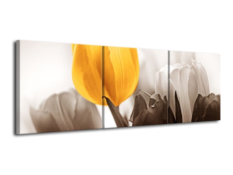 Canvas schilderij Tulpen | Geel, Wit, Grijs | 120x40cm 3Luik
