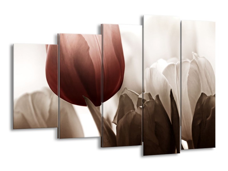 Canvas schilderij Tulpen | Bruin, Wit, Grijs | 150x100cm 5Luik