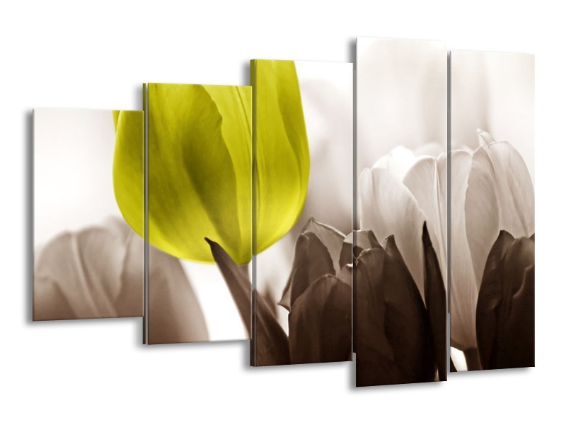 Canvas schilderij Tulpen | Groen, Wit, Grijs | 150x100cm 5Luik