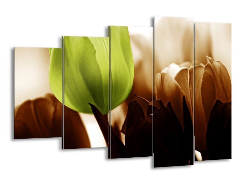 Canvas schilderij Tulpen | Groen, Wit, Grijs | 150x100cm 5Luik