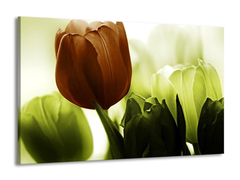 Canvas schilderij Tulpen | Bruin, Wit, Grijs | 140x90cm 1Luik